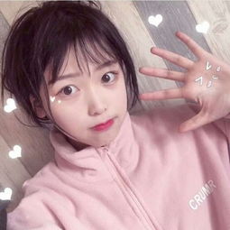 芙蓉女儿诔